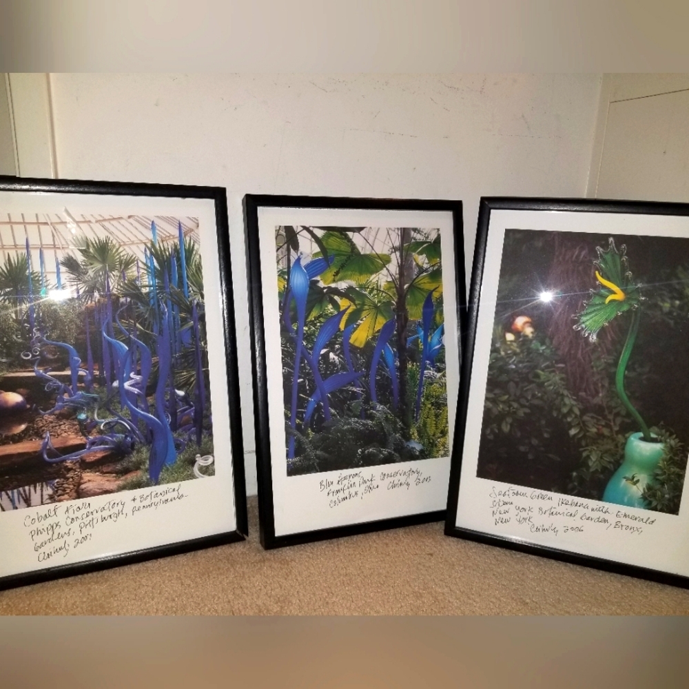 DALE CHIHULY  art print frame wood decor